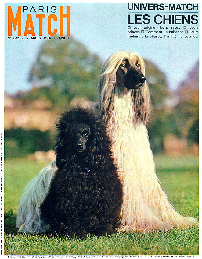 Paris match issue 882 from March 1966