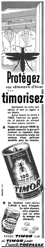 Advert Timor 1954
