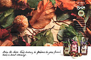 Advert Misc. 1992