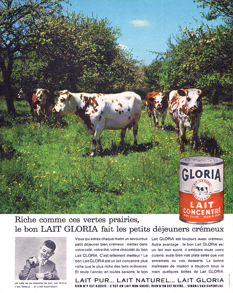 Advert Gloria 1962