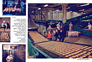 BrandLu 1960