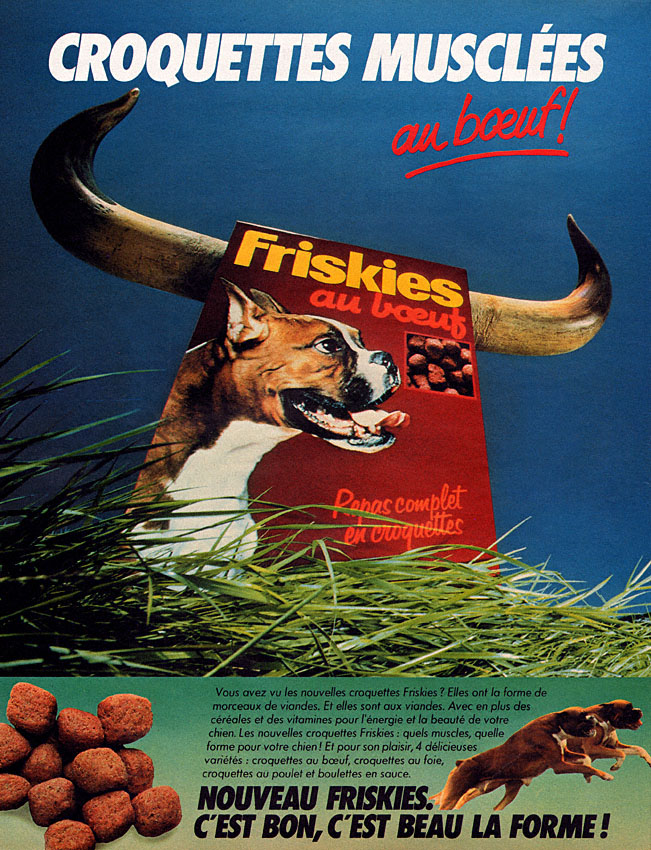 Advert Friskies 1981