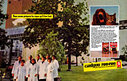 BrandRonron 1981