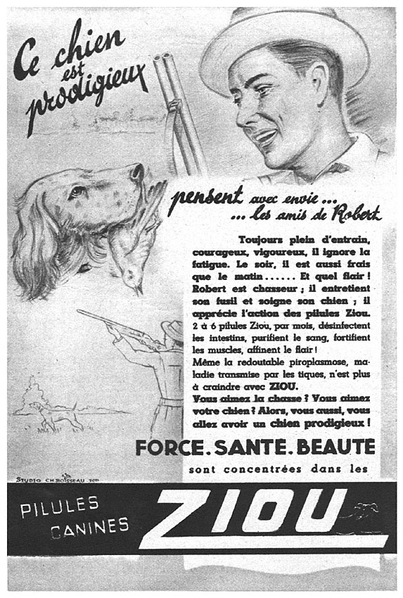 Advert Zzdivers_ANI5 1950