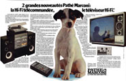 BrandPath Marconi 1979