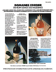 BrandZxDivers Vins 1991