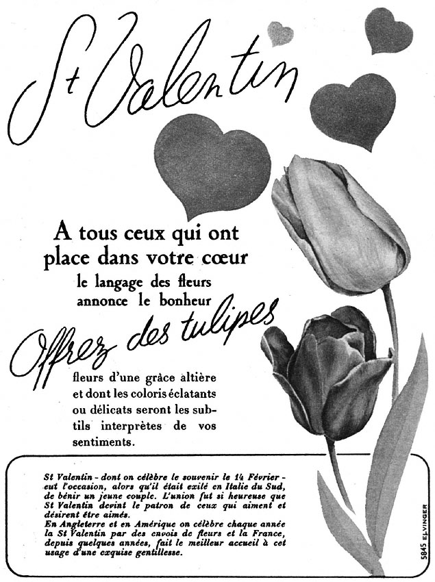 Advert Hollande 1952