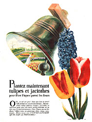 Advert Hollande 1952