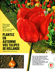 Advert Hollande 1962