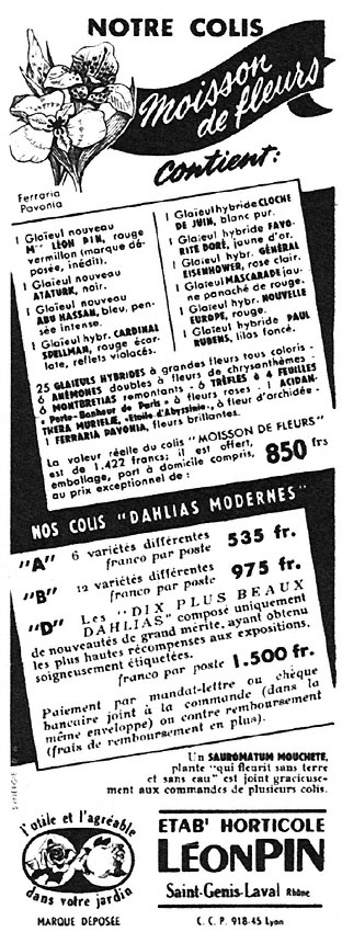 Advert Lon Pin 1953