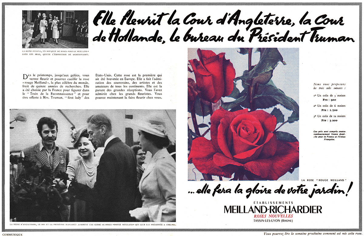 Advert Meilland-Richardier 1952