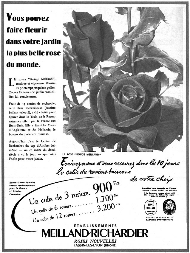 Advert Meilland-Richardier 1952