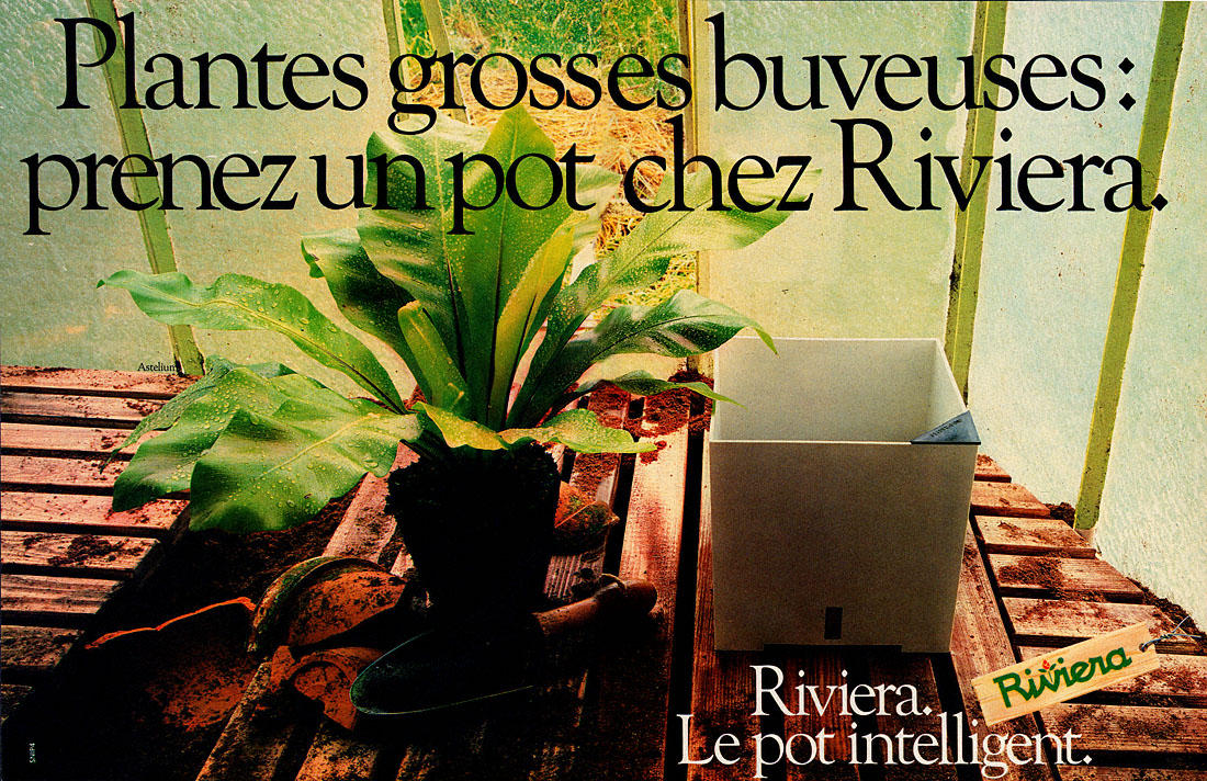 Advert Riviera 1978