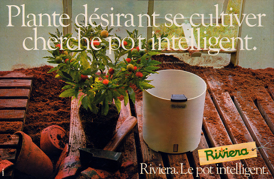 Advert Riviera 1979