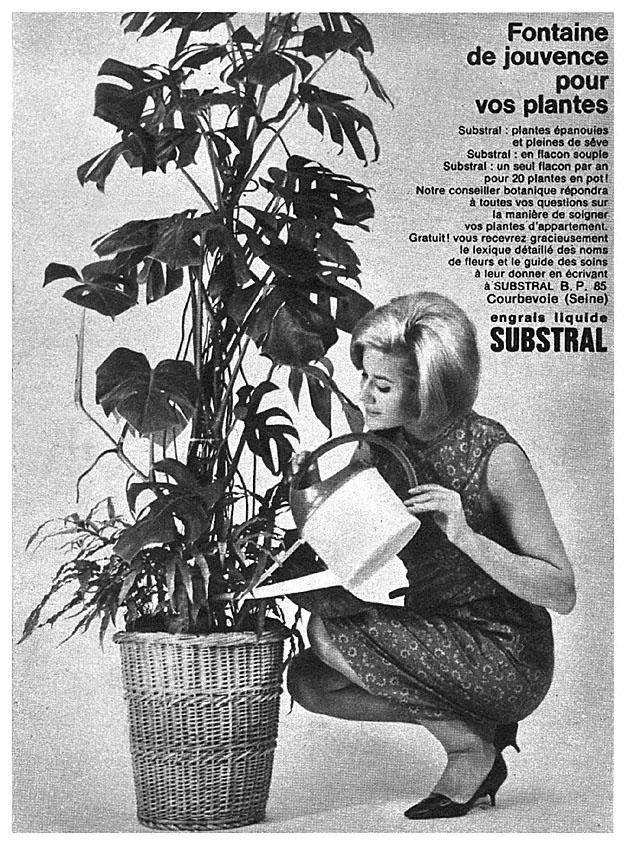 Advert Substral 1964