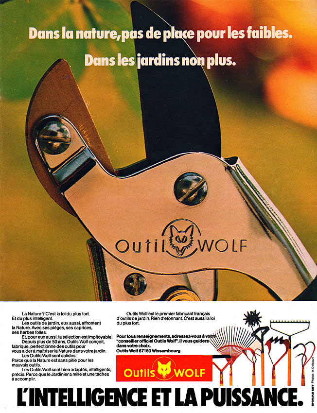 Advert Wolf 1979