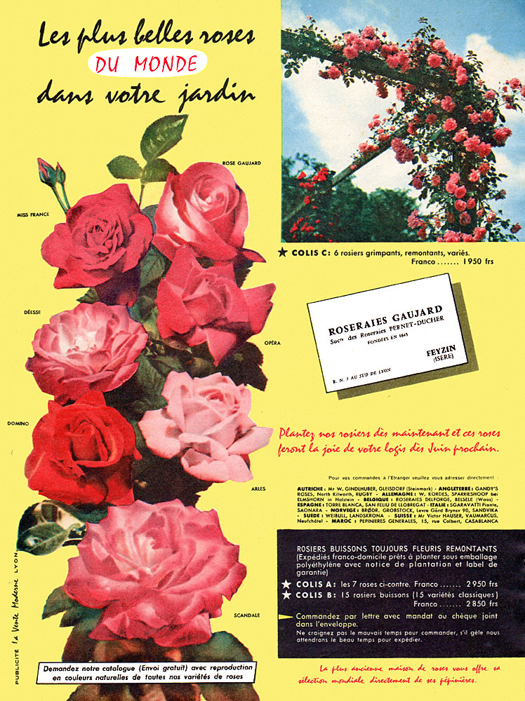 Advert Zzdivers_JAR5 1959
