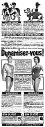 BrandDynam Institut 1956