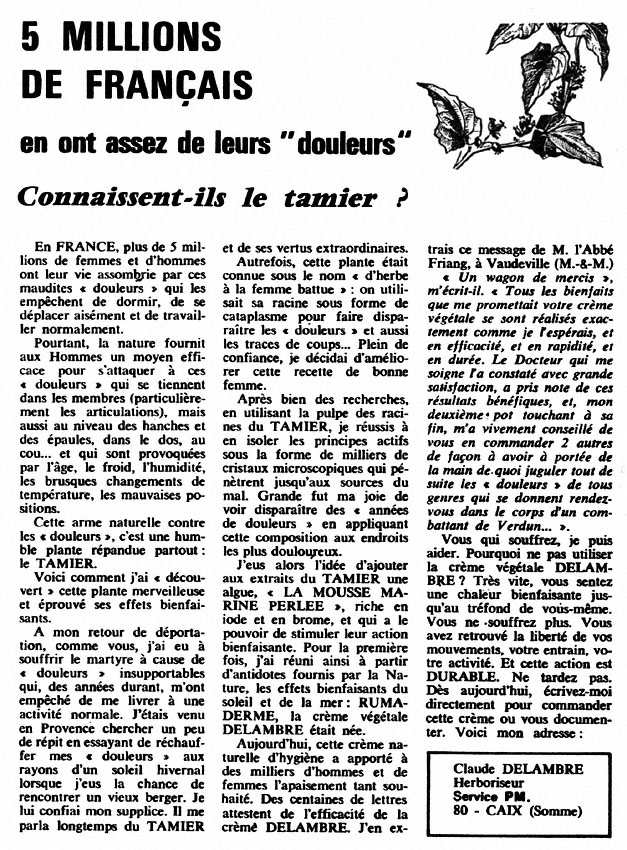 Advert Zzdivers_SES5 1966