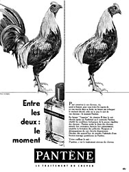 BrandPantne 1961